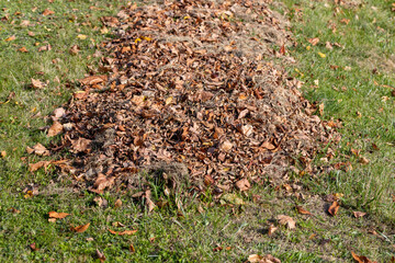 heaps with fallen leaves of trees in the autumn season