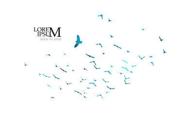 Bird watercolor. A flock of colorful birds. Mixed media. Vector illustration