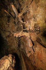 The splendor  of nature - bizarre forms of stalactites and stalagmites in the Salamander Cave in northern Israel