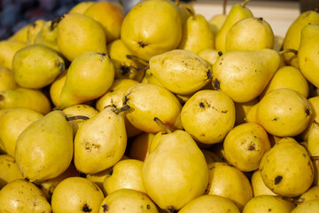 yellow pears at an autumn fair
