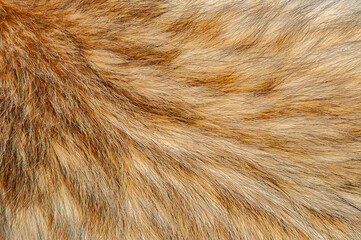 Beautiful spotted fur close-up. Texture of brown animal wool. Dog fur.