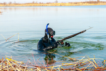 Spearfishing, men in a neoprene wetsuit in a lake with weapons for spearfishing, a harpoon diver....