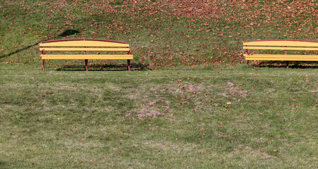 Benches installed in the park for recreation