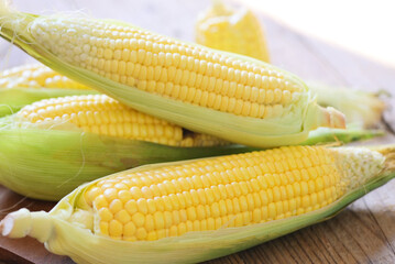 Corn on the cob, Sweet corn for cooking food, Fresh corn on wooden background, Harvest ripe corn organic