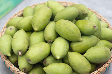 Fresh green Elaeocarpus hygrophilus Kurz in a basket