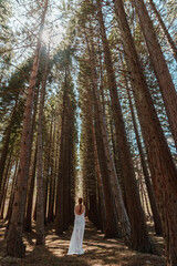 A girl in a white dress and a long braid travels alone through the forest of tall Sequoiadendron giganteum, rising into the sky on a sunny day