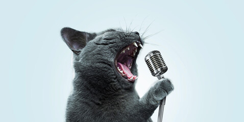 Funny emotional cat artist singing and holding a vintage metal microphone at a party on a pastel...