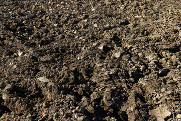 Processed plowed fertile soil in the field