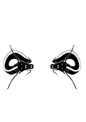 Tête et cou de dragon en noir et blanc opposés, bien travaillées graphiquement avec beaucoup d'originalité.