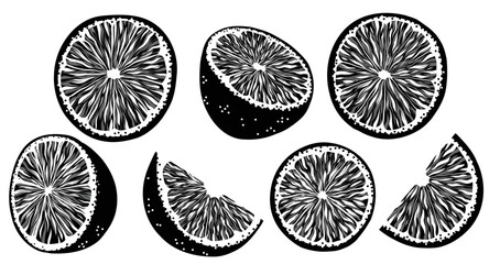 Vector set of black silhouette of orange fruits with slice and foliage isolated from background. Delicious citruses.