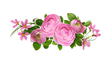 Pink ranunculus flowers, cosmea and green leaves in a floral arrangement isolated on white or...