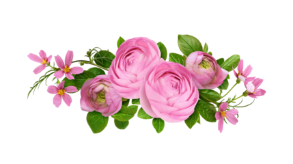Pink ranunculus flowers, cosmea and green leaves in a floral arrangement isolated on white or transparent background