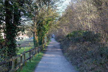 Fototapeta premium footpath in the park