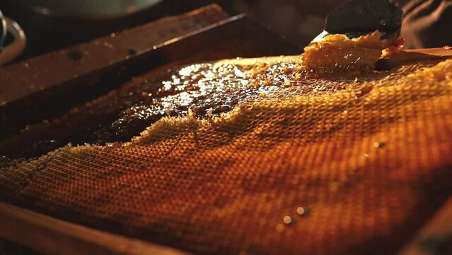 The beekeeper removes the top layer on the honeycomb to get the honey out of the frames