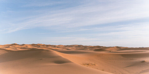 Fototapeta na wymiar views of the sahara desert dunes