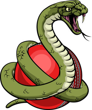 A snake with a cricket ball animal sports team mascot