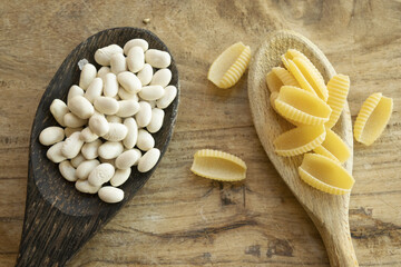 Fototapeta na wymiar pasta and cannellini beans