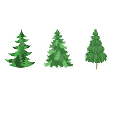 Fir-tree set. Three vector spruce illustration in different styles.