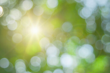 Naklejka premium Abstract green foliage and tree in jungle blur with sun light spring summer. Farming concept on plant forest and environment day of farmer organic building sunshine on leaf herb lush soft in ecology.
