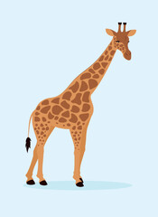 giraffe on a blue background