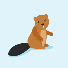 Beaver sits on its hind legs