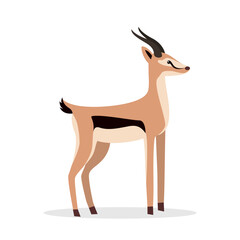 Gazelle looks forward, side view