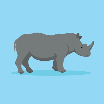 Rhinoceros, side view, animal of Africa