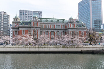 Fototapeta na wymiar 満開の桜の中に立つ大阪市中央公会堂