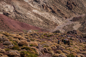 Plateau de Tarkeddit descent towards the Arous gorge, MGoun trek, Atlas mountain range, morocco,...