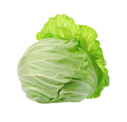 cabbage isolated on transparent png