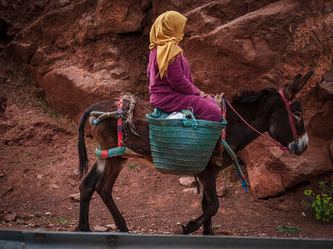 Berber woman riding a donkey, Ait Blal, azilal province, Atlas mountain range, morocco, africa