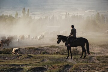 ISSYK KUL, KYRGYZSTAN - August 10: A horseman grazes his sheep in a foggy field near Issyk Kul lake on August 10, 2022 The lake is one of the largest high-mountain lakes in the world.