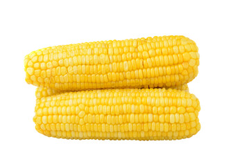 corn isolated on transparent png