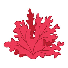 red algae, Seaweed silhouette vector symbol icon design. Beautiful illustration isolated on white background
