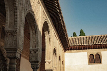 Column of the Alhambra 