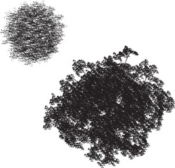 Tree top view vector art on isolated white background