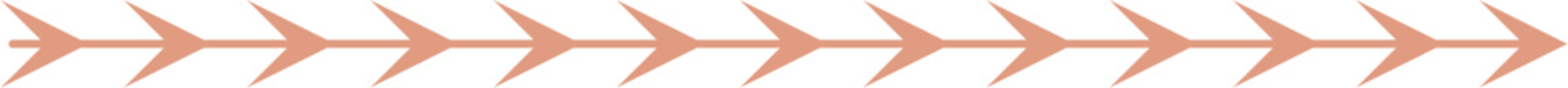 Brown Decorative Arrow Border Vector Design Element