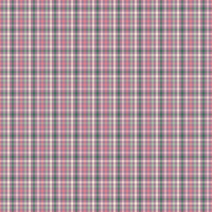 Multi colored  Print Tartan Plaid Plaid Seamless Pattern