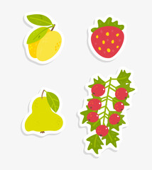 set of fruits and berries stickers