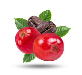 Coffee seeds isolated on transparent png