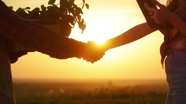 Close up of farmer selling sprouts to girl at sunset. Man wearing plaid shirt and girl holding tablet, shaking hands each other. Concept of growing and selling plants.