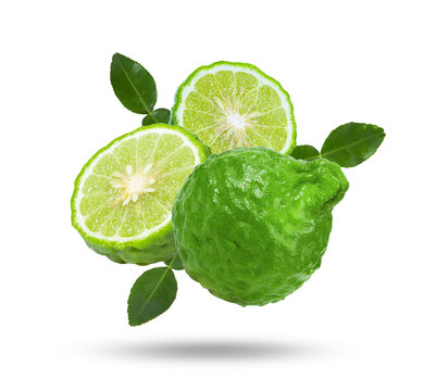 bergamot isolated on transparent png