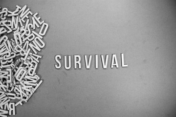 SURVIVAL in wooden English words language capital letters spilling from a pile of letters on a blue background - black and white