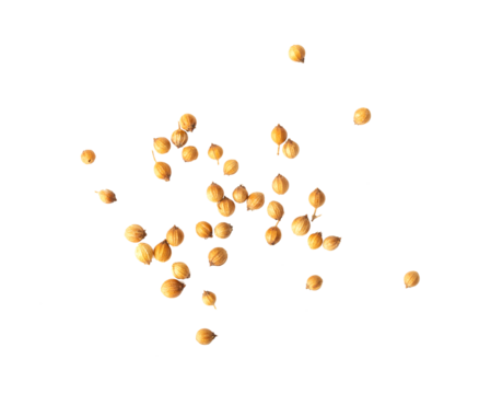 Coriander seeds isolated on transparent png