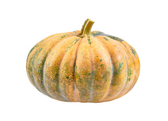 pumpkin isolated on transparent png