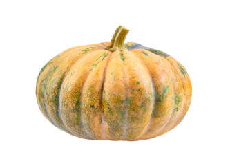 pumpkin isolated on transparent png
