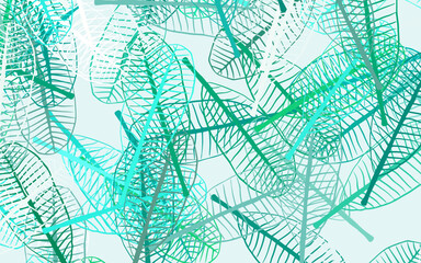 Fototapeta premium Light Green vector elegant wallpaper with leaves.