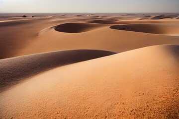 A desert stretching into the horizon with endless sand dunes. 