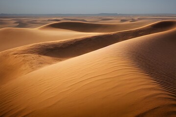 Fototapeta na wymiar A desert stretching into the horizon with endless sand dunes. 