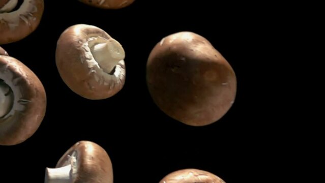 Close-up of the brown shiitake mushrooms falling diagonally on black background